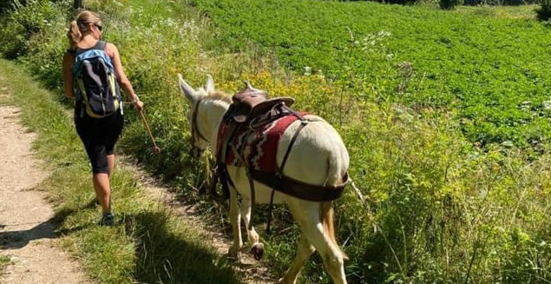 Famiglia in trekking con gli asinelli sul percorso delle trincee
