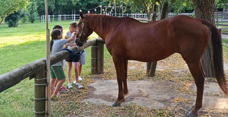 Attività ludiche a cavallo per bambini per stimolare fiducia ed equilibrio