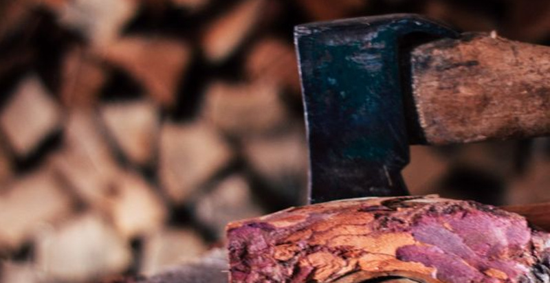 bushcraft-trentino