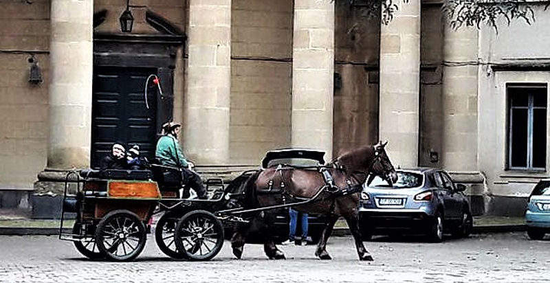 Esperienza autentica di passeggiata in carrozza a Linguaglossa in Sicilia