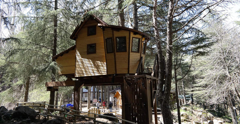 Casa sull'albero immersa nella natura siciliana