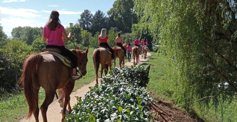 Cavalli addestrati del Yama Ranch a Montegaldella
