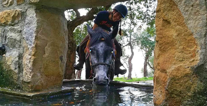cavallo-escursioni-madonie