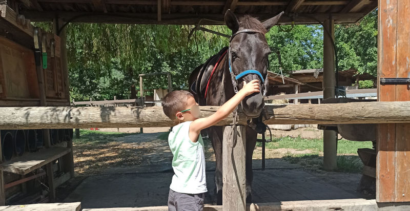 Bambini che imparano a spazzolare e prendersi cura del cavallo