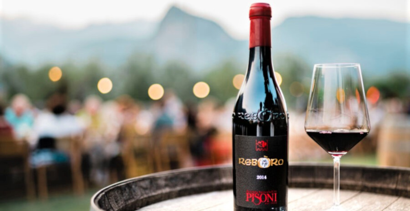 degustazione vino trentino