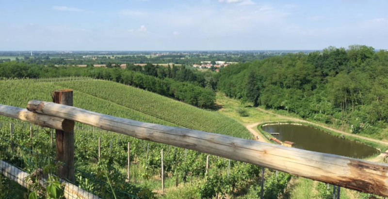 degustazioni-vino