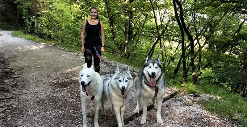 Dog Trekking in Alto Adige – Escursioni con gli Husky nella natura