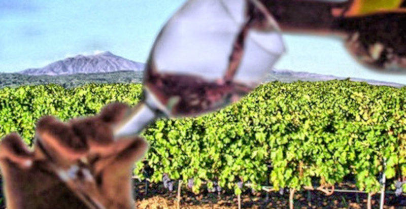 Escursione sull'Etna e degustazione di vini siciliani