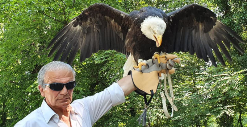 falconeria