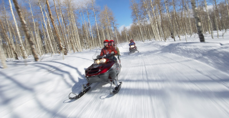 Gita in motoslitta tra i sentieri innevati di Livigno