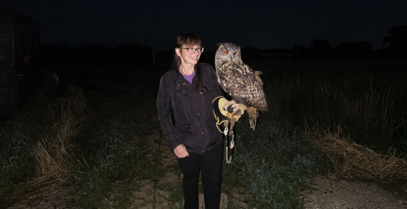 Interazione con rapace su guantone falconeria Sulbiate