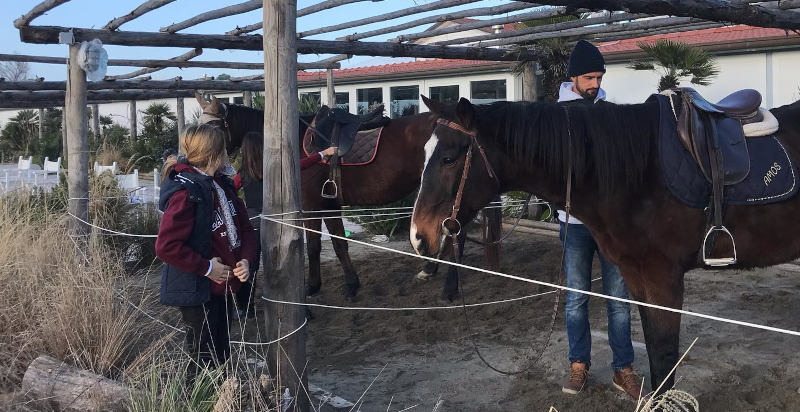 Istruttore di equitazione insegna tecniche e sicurezza ai cavalieri in Versilia