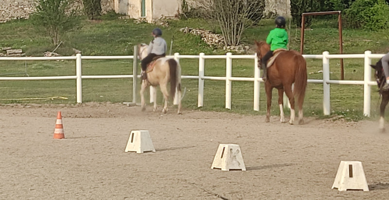 Esperienza di equitazione a Verona per principianti