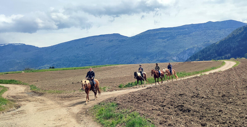 passeggiata a cavallo cavalli sul sentiero a cavrasto