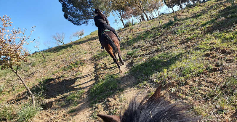 Vista panoramica delle colline siciliane mentre si cavalca nei dintorni di Enna