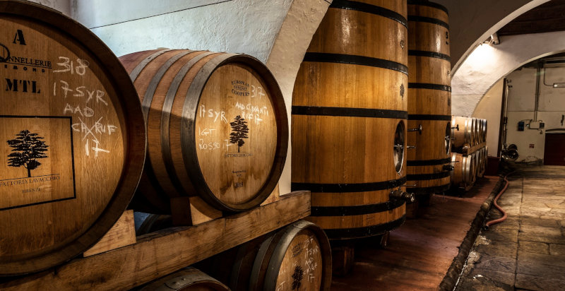 Visita in una cantina fiorentina dopo una passeggiata a cavallo