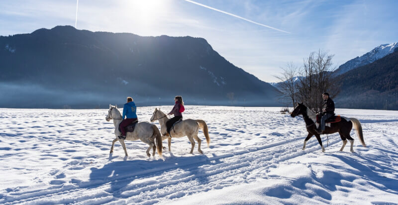 passeggiata a cavallo in inverno nella neve a Bleggio Superiore