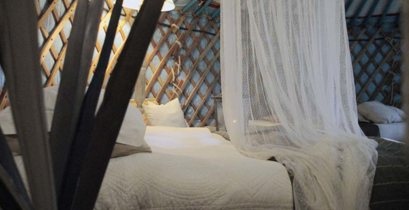 Letto comodo nella yurta vicino a Pisa