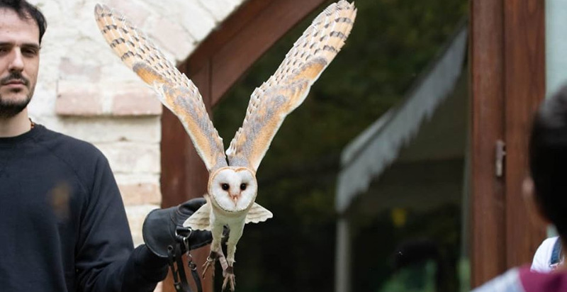 pescara-falconeria-manoppello