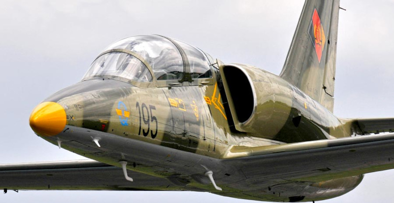Prova la potenza e l'agilità del jet L-39 Albatros
