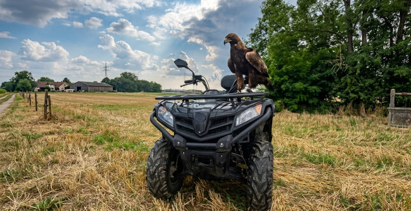 Esperienza di quad e falconeria a Sulbiate tra natura e avventura