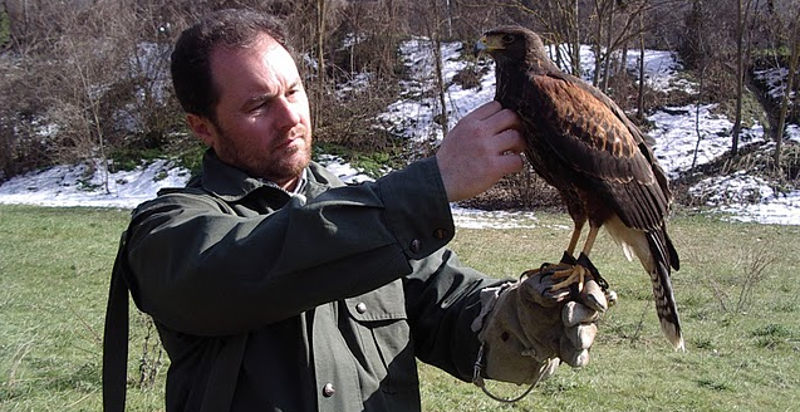 Falconiere esperto che spiega tecniche di addestramento