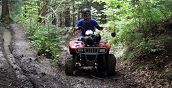 Adrenalina in quad Brescia - Scopri sentieri nascosti