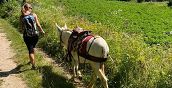 Famiglia in trekking con gli asinelli sul percorso delle trincee