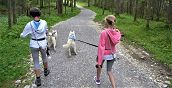 cani-belluno-passeggiata