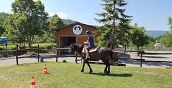 Cavaliere principiante impara a montare un cavallo in un maneggio di Parma