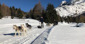Zona Passo Tonale