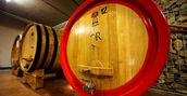Degustazione vini Monferrato