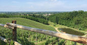 degustazioni-vino