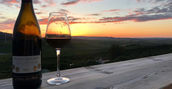 degustazioni-vino-azienda-agricola