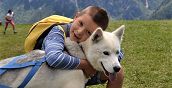 dog-trekking-belluno
