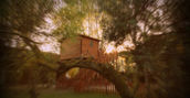 Dormire in una casa sull'albero