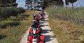 Paesaggi siciliani esplorati in quad a Selinunte