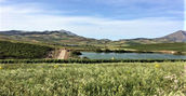 Panoramica siciliana durante l'escursione in jeep con partenza da Segesta 