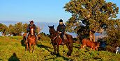 escursioni-jeep-cavallo-madonie