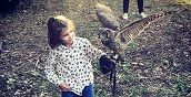 falconeria-pescara