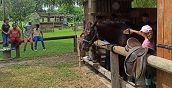 Bambini accudiscono cavallo
