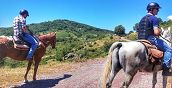 Cavalli lungo i sentieri immersi nella natura pistoiese