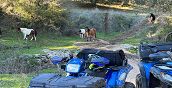 giro in quad bracciano