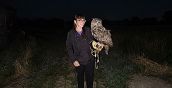 Interazione con rapace su guantone falconeria Sulbiate