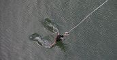 Salto bungee con entrata in acqua in Austria