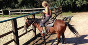 lago maggiore equitazione