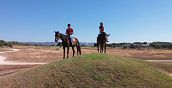 lezione-cavallo-sicilia