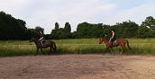 Lezione privata di monta a cavallo a Bosaro