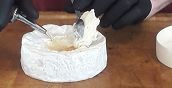 Formaggio Camembert grigliato con cuore di Pastis