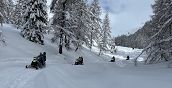 Motoslitta a Foppolo su paesaggio innevato delle Alpi